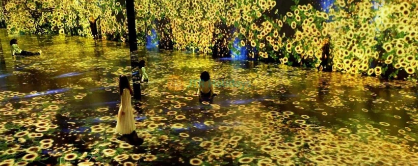 Superblue Miami - Discover Superblue Miami, an immersive art experience where light, color, and technology come to life. Step into interactive exhibits by world-famous artists and explore digital landscapes that respond to touch and motion. Perfect for art lovers, families, and adventure seekers, this unique attraction offers unforgettable visuals. Superblue Miami - Image 4 of 5