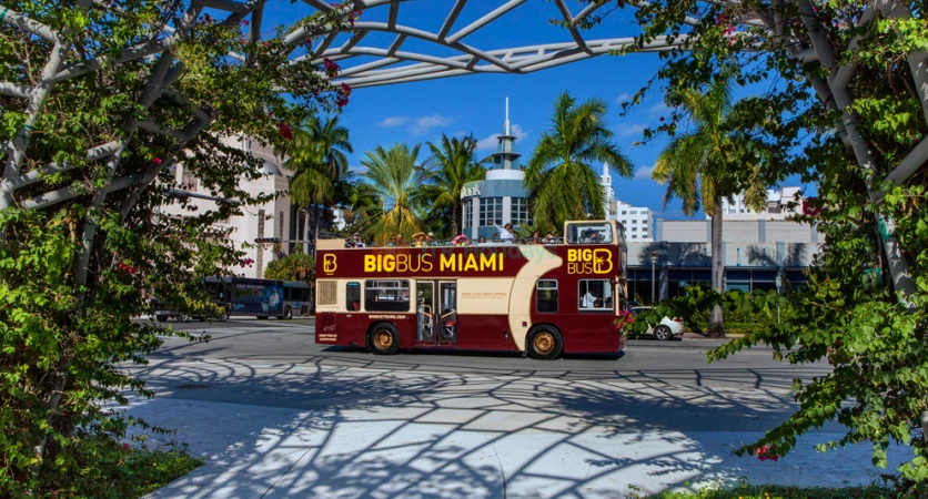 Big Bus Miami Hop-on Hop-off Tour | Explore Miami at Your Own Pace - JTR Holidays