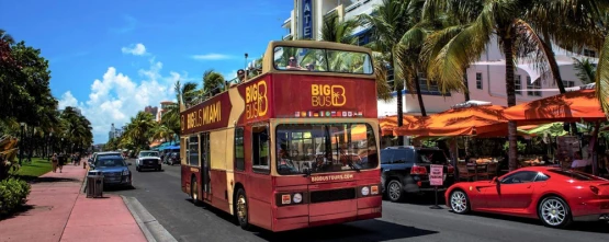 Big Bus Miami Hop-on Hop-off Tour | Explore Miami at Your Own Pace - JTR Holidays