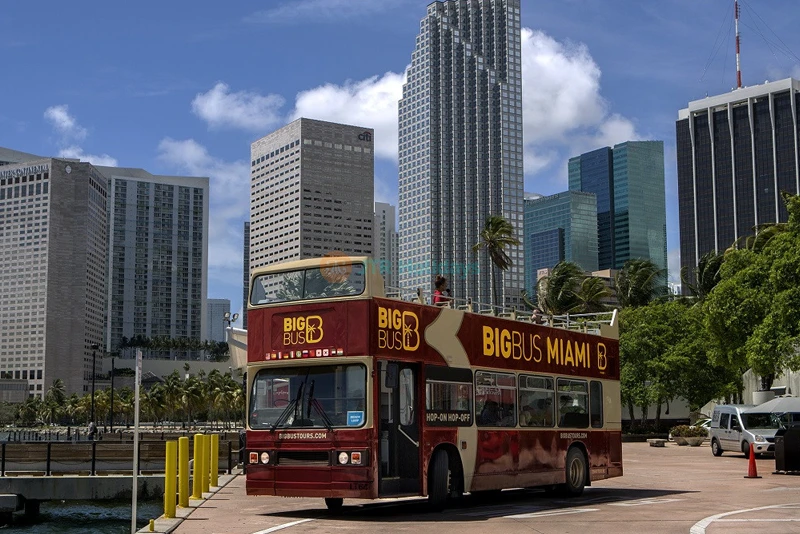 Big Bus Miami Hop-on Hop-off Tour | Explore Miami at Your Own Pace - JTR Holidays