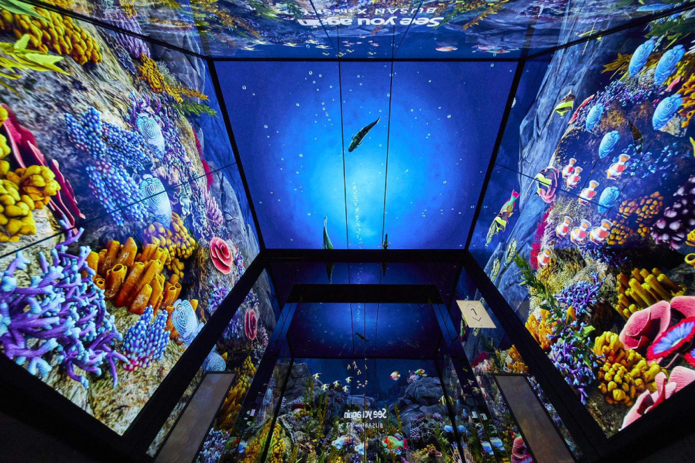 Busan X the Sky - Image 3 of 5