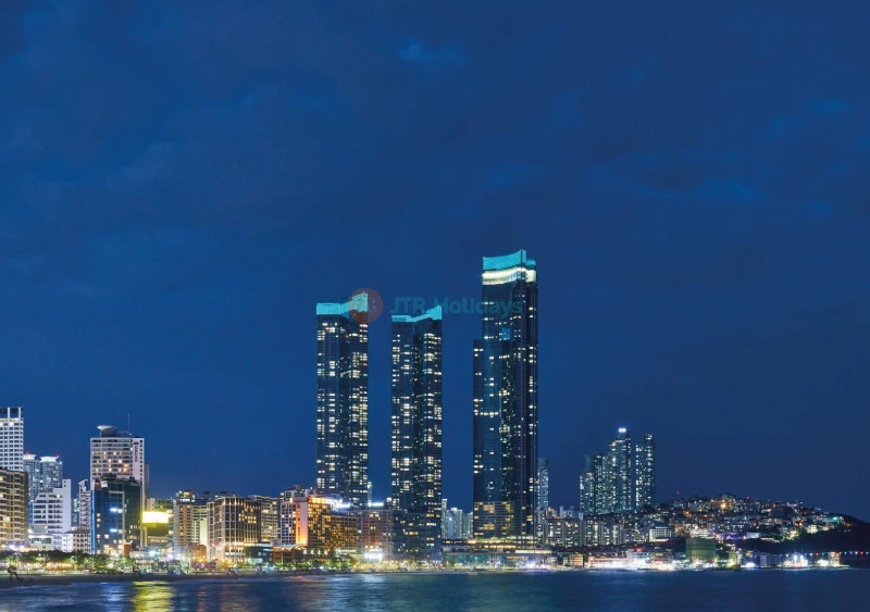 Busan X the Sky
