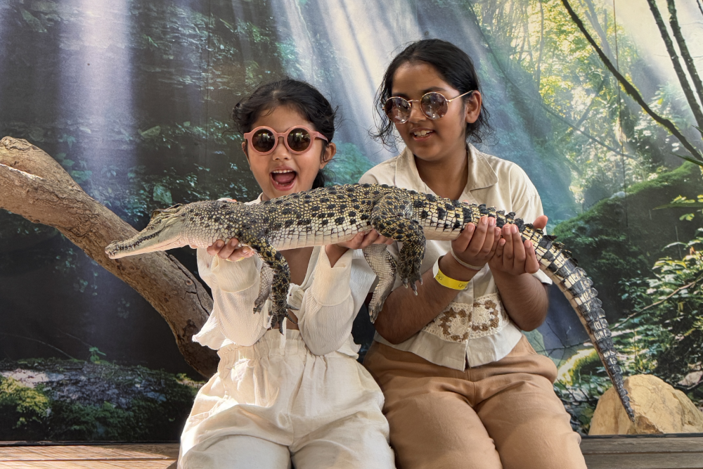 Parc Aventure des Crocodiles de Langkawi - Découvrez le Parc Aventure des Crocodiles de Langkawi, qui abrite plus de 4 000 crocodiles ! Profitez de spectacles de nourrissage captivants, de rencontres avec des dinosaures et d'expositions interactives dans un cadre tropical luxuriant. Idéal pour les familles, les amateurs de nature et les aventuriers. Parc Aventure des Crocodiles de Langkawi - Image 2 sur 5