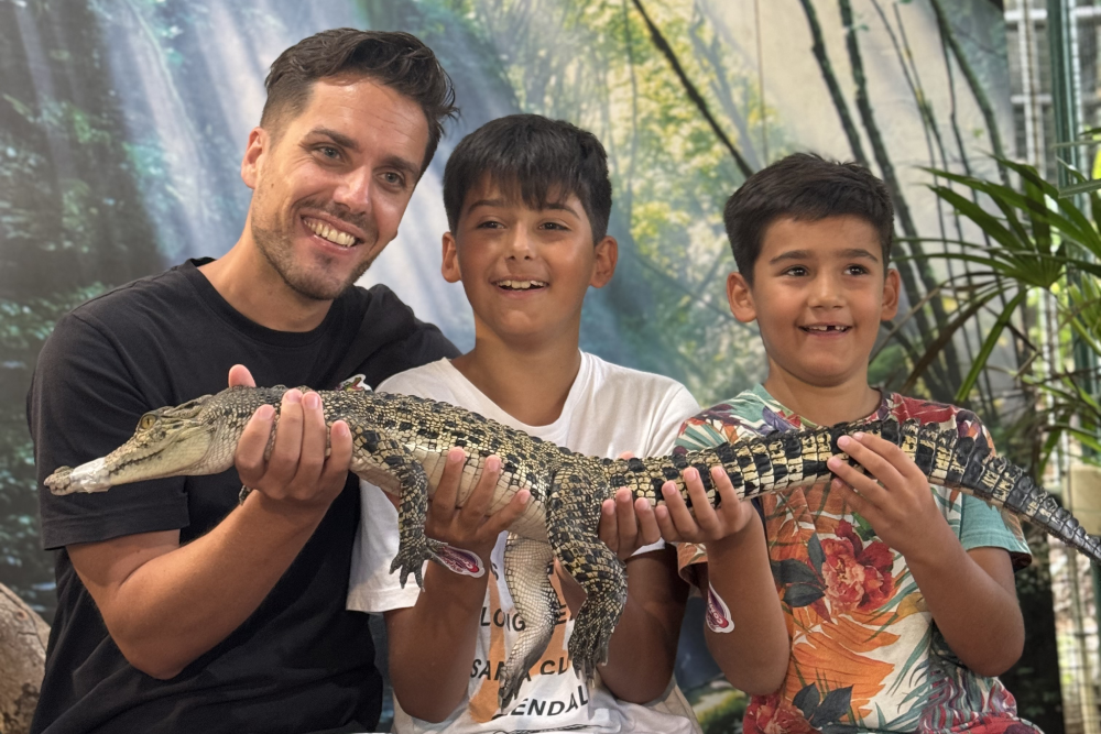 Crocodile Adventureland Langkawi - Image 3 of 5