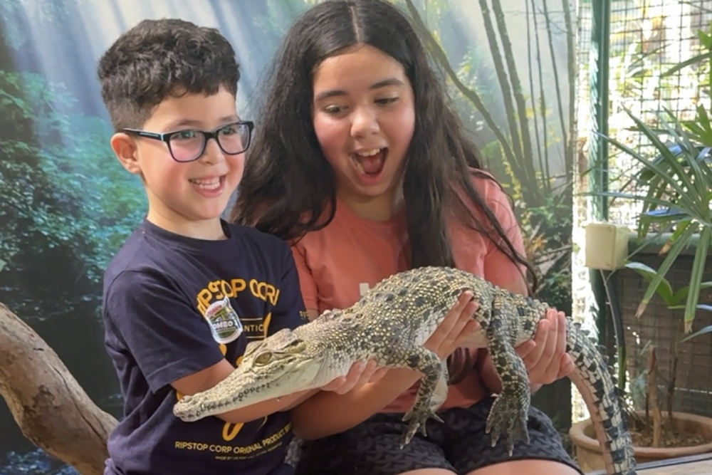 Parc Aventure des Crocodiles de Langkawi - Découvrez le Parc Aventure des Crocodiles de Langkawi, qui abrite plus de 4 000 crocodiles ! Profitez de spectacles de nourrissage captivants, de rencontres avec des dinosaures et d'expositions interactives dans un cadre tropical luxuriant. Idéal pour les familles, les amateurs de nature et les aventuriers. Parc Aventure des Crocodiles de Langkawi - Image 5 sur 5