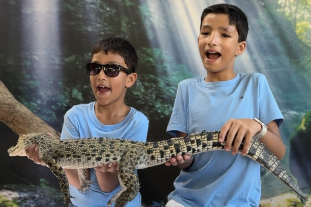 Crocodile Adventureland Langkawi - Image 6 of 9