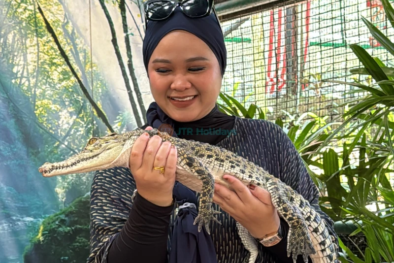 Crocodile Adventureland Langkawi - Image 7 of 9