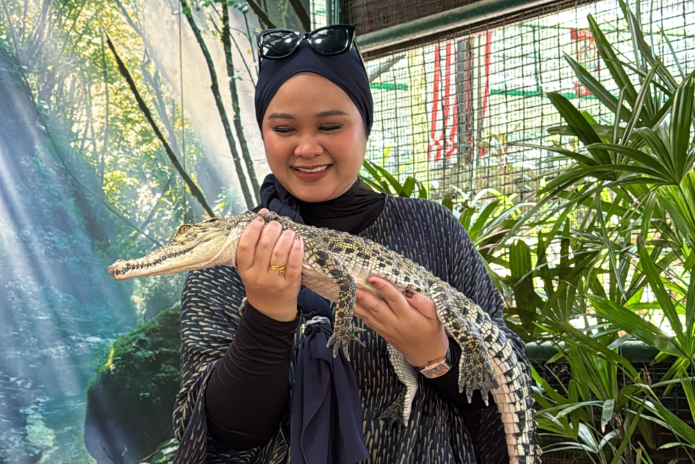 Crocodile Adventureland Langkawi - Image 7 of 9