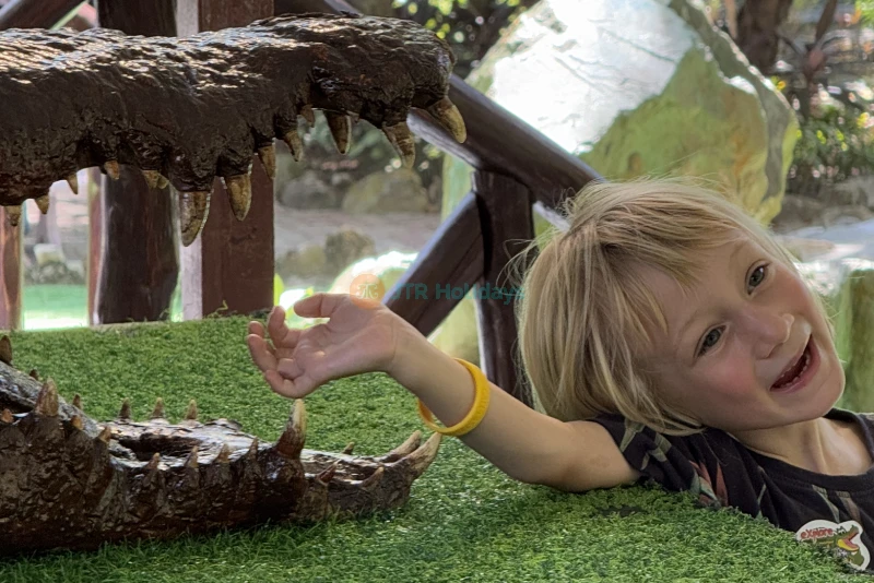 Crocodile Adventureland Langkawi - Image 8 of 9