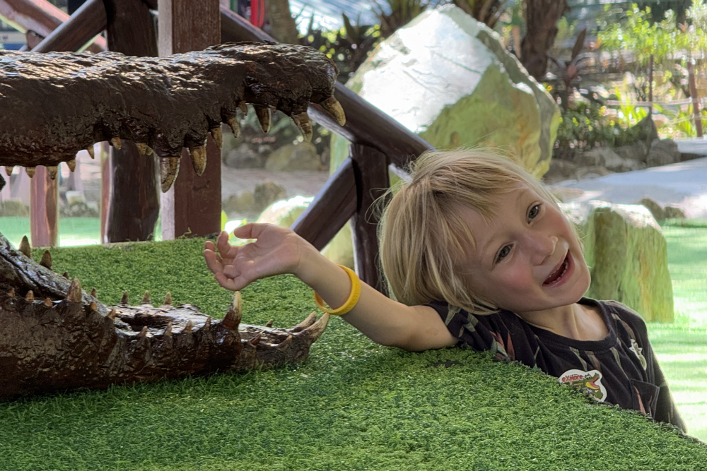 Crocodile Adventureland Langkawi - Image 8 of 9