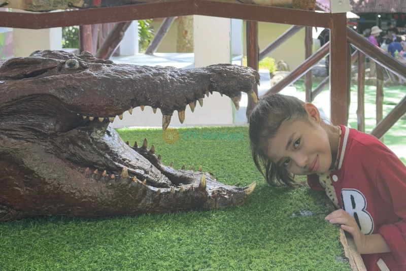 Crocodile Adventureland Langkawi - Image 9 of 9