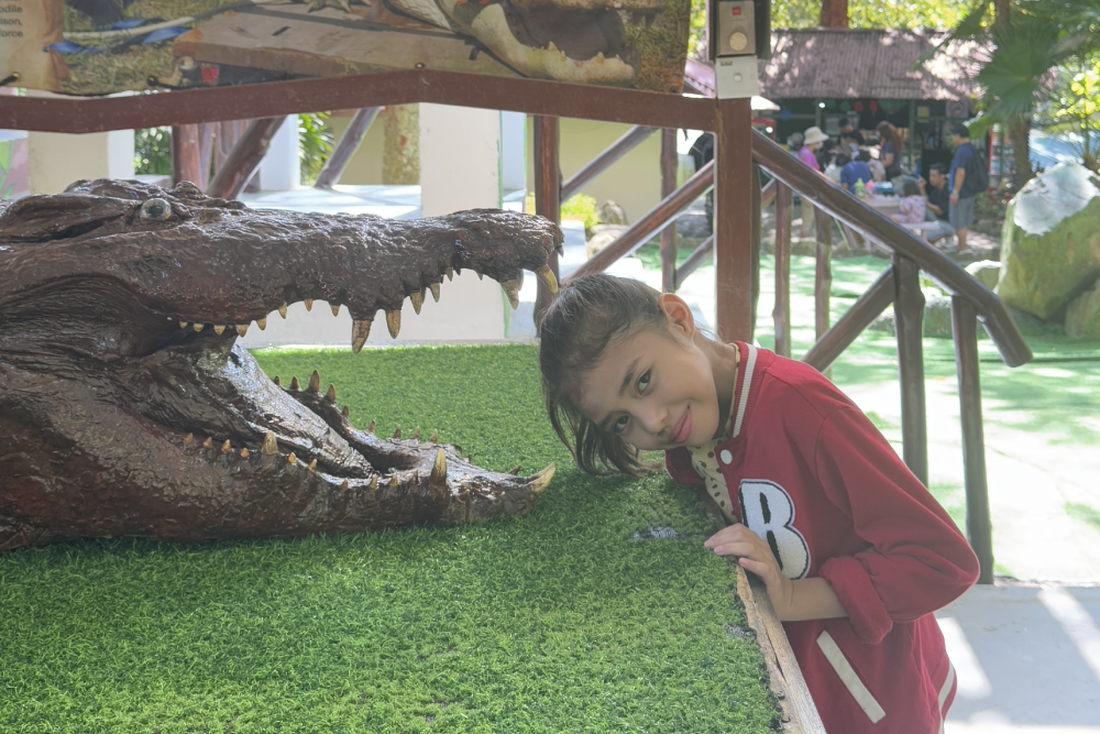 Crocodile Adventureland Langkawi - Image 9 of 9
