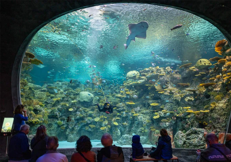Seattle Aquarium
