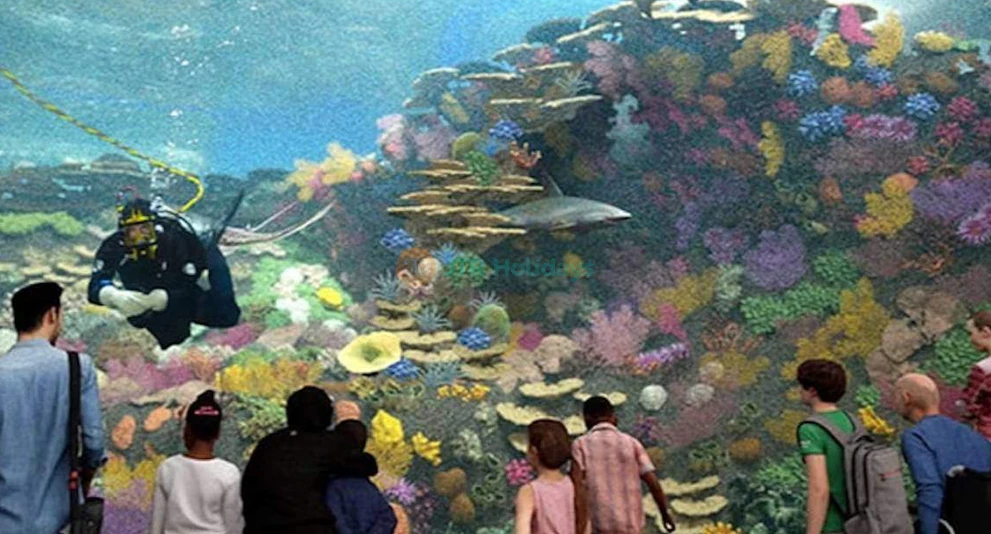 Seattle Aquarium - Image 1 of 5