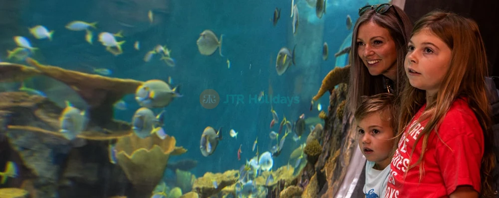 Seattle Aquarium - Image 3 of 5