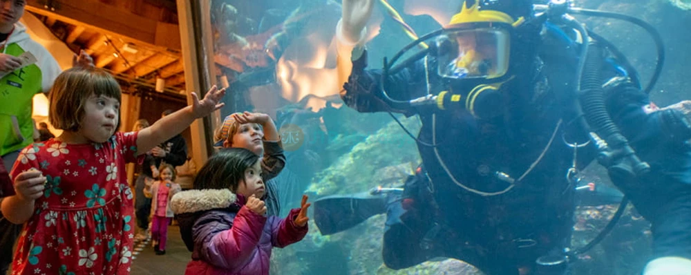 Seattle Aquarium - Image 4 of 5