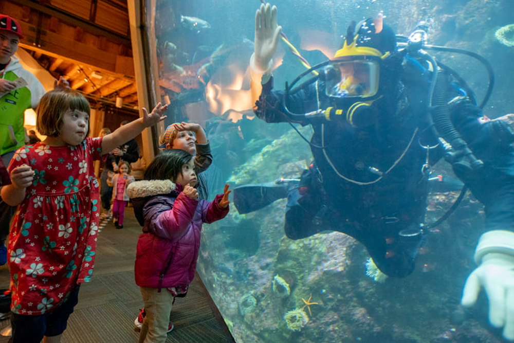 西雅图水族馆 - 图片 4 的 5