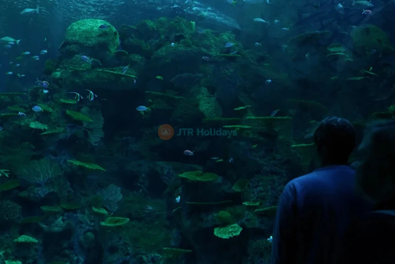 Seattle Aquarium - Image 6 of 9