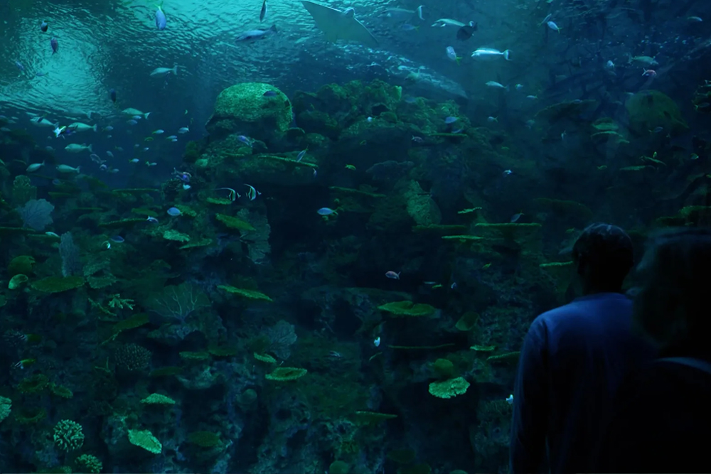 西雅图水族馆 - Image 6 of 9