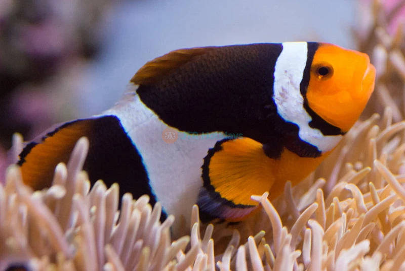 Seattle Aquarium - Image 8 of 9