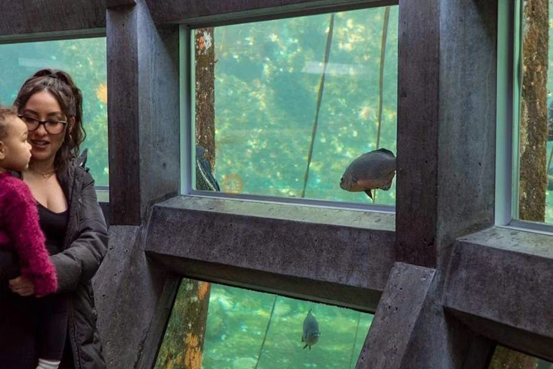 Seattle Aquarium - Image 9 of 9