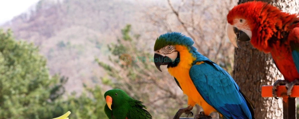 Alpaca World Hongcheon - Imagen 3 de 5