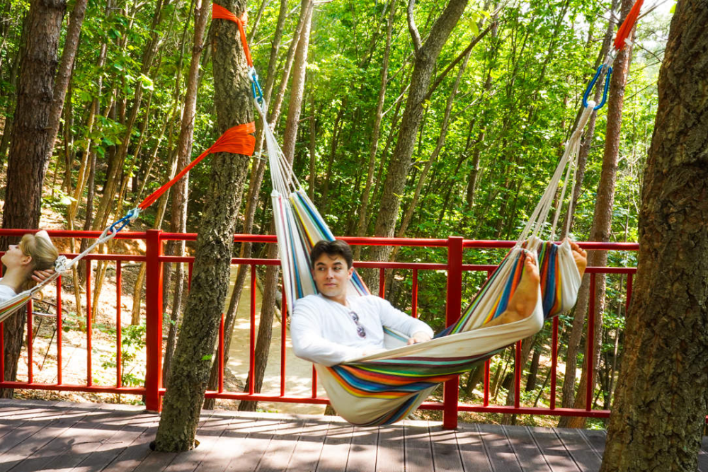 Romyzian Garden Gangwon - Image 3 of 5