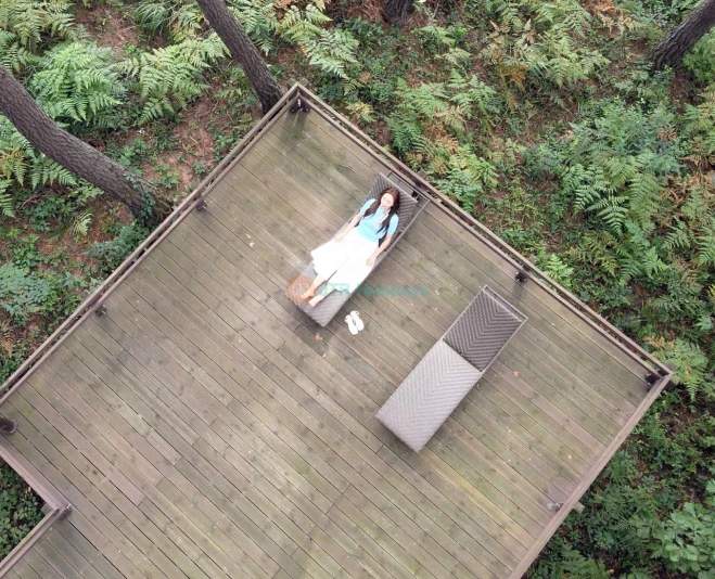 Romyzian Garden – A Serene Escape with Nature, Art & Wellness - JTR Holidays - Image 5 of 5