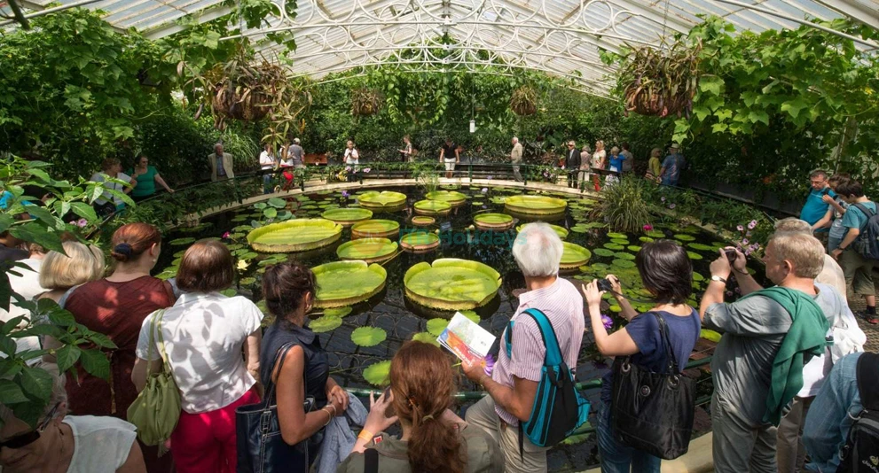 Royal Botanic Gardens, Kew | Explore London's UNESCO World Heritage Site - JTR Holidays - Image 1 of 5