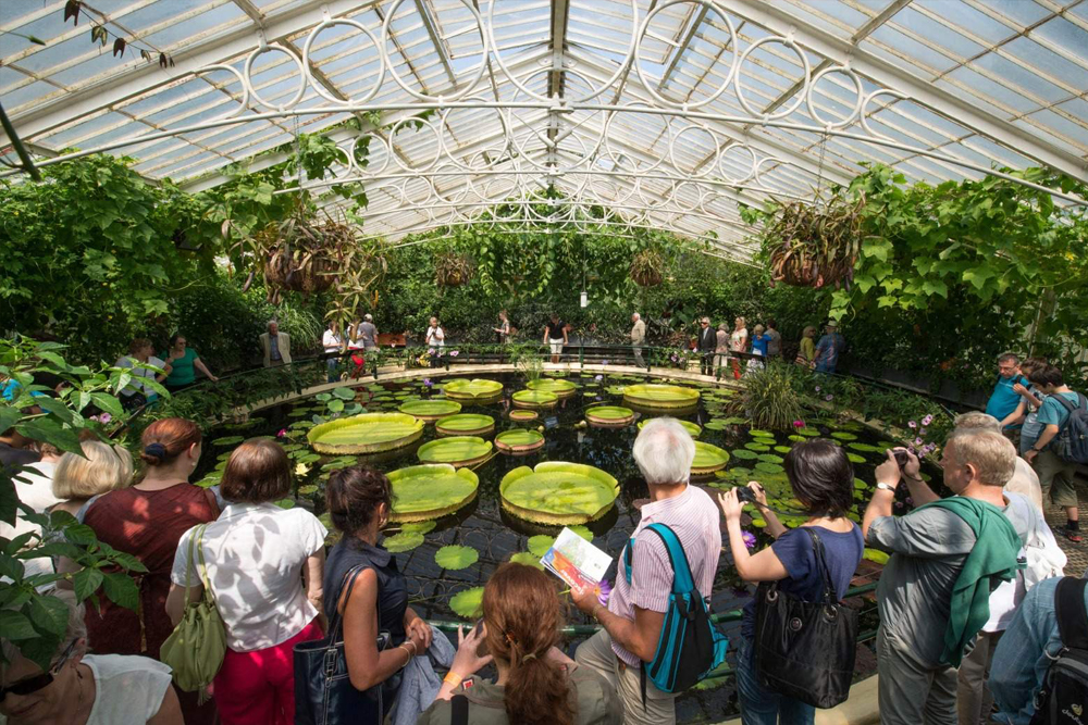 Royal Botanic Gardens, Kew - Image 1 of 5