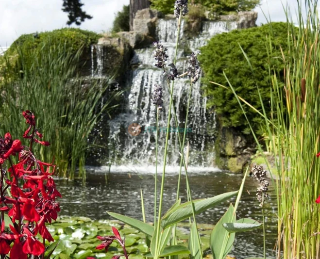 Royal Botanic Gardens, Kew | Explore London's UNESCO World Heritage Site - JTR Holidays - Image 2 of 5