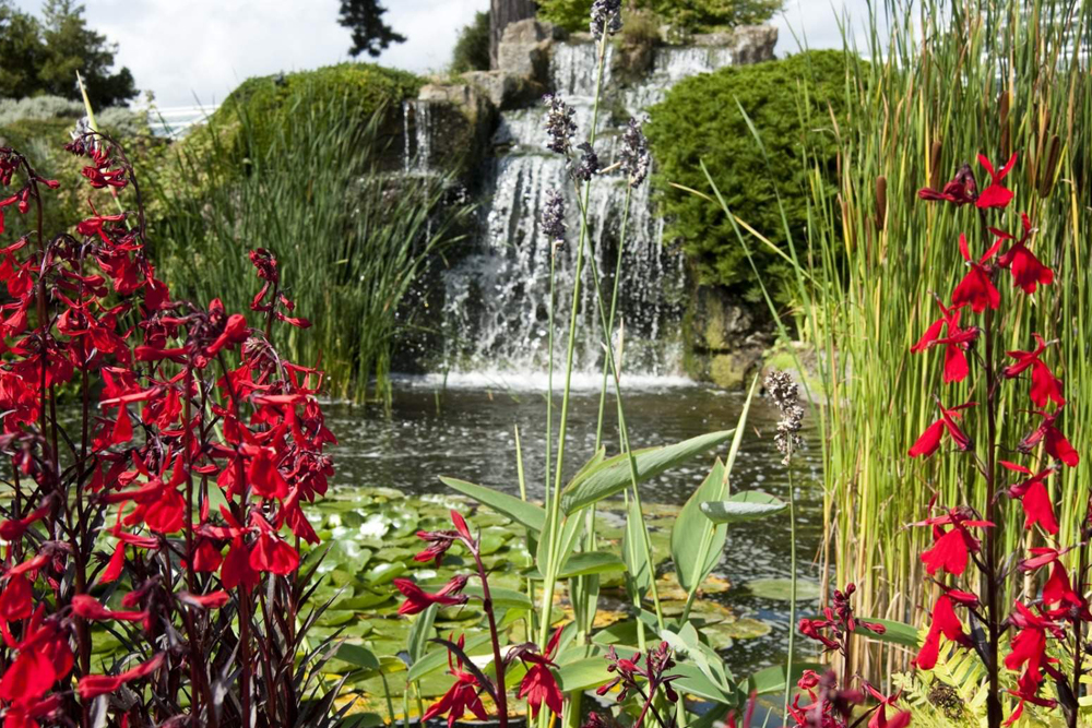 Royal Botanic Gardens, Kew - Image 2 of 5