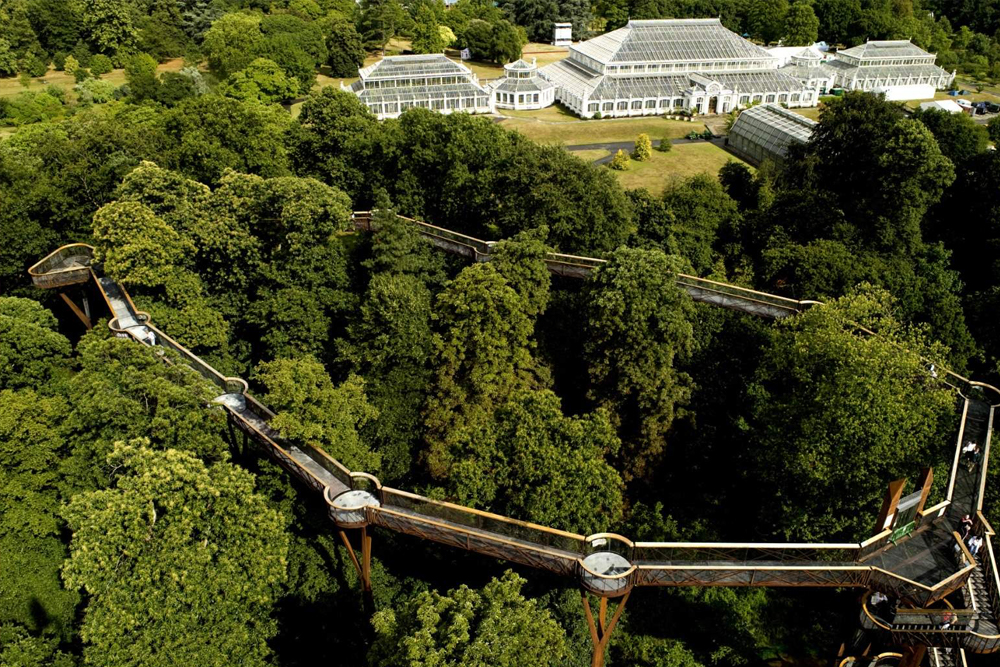 Königliche Botanische Gärten, Kew - Entdecken Sie die Königlichen Botanischen Gärten, Kew, Londons UNESCO-Weltkulturerbestätte, Heimat der weltweit größten Sammlung lebender Pflanzen. Erkunden Sie atemberaubende Gewächshäuser wie das Temperate House und das Palm House, spazieren Sie auf dem Baumwipfelpfad unter den Baumkronen und erleben Sie das eindrucksvolle Wunder von The Hive. Schlendern Sie durch historische Gärten und bewundern Sie den ikonischen Kew Palace. Ein Muss für Naturliebhaber und Entdecker! Königliche Botanische Gärten, Kew - Bild 3 von 5
