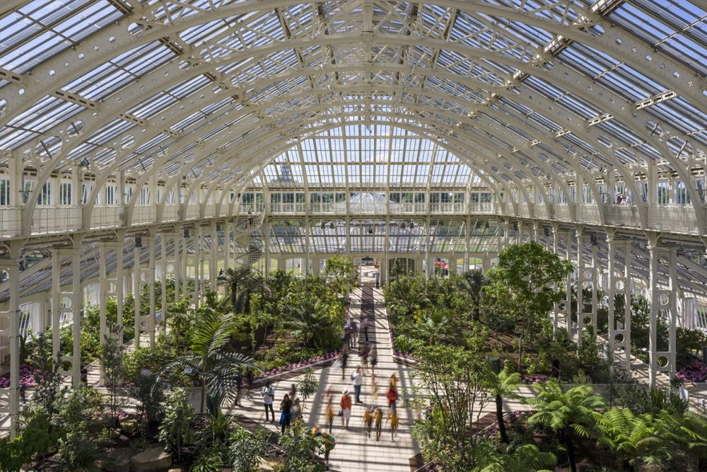Königliche Botanische Gärten, Kew - Entdecken Sie die Königlichen Botanischen Gärten, Kew, Londons UNESCO-Weltkulturerbestätte, Heimat der weltweit größten Sammlung lebender Pflanzen. Erkunden Sie atemberaubende Gewächshäuser wie das Temperate House und das Palm House, spazieren Sie auf dem Baumwipfelpfad unter den Baumkronen und erleben Sie das eindrucksvolle Wunder von The Hive. Schlendern Sie durch historische Gärten und bewundern Sie den ikonischen Kew Palace. Ein Muss für Naturliebhaber und Entdecker! Königliche Botanische Gärten, Kew - Bild 4 von 5
