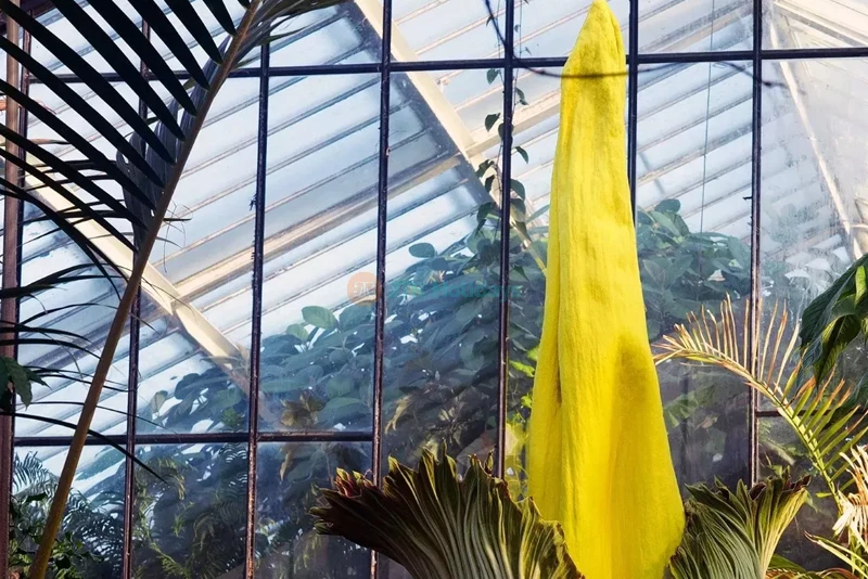 Royal Botanic Gardens, Kew | Explore London's UNESCO World Heritage Site - JTR Holidays - Image 6 of 7