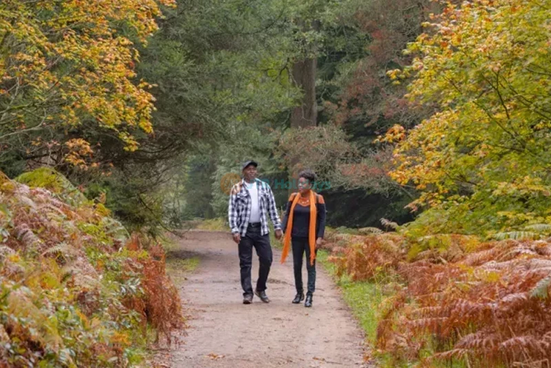 Royal Botanic Gardens, Kew | Explore London's UNESCO World Heritage Site - JTR Holidays - Image 7 of 7