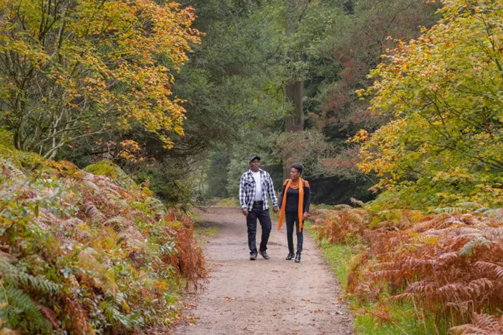 Royal Botanic Gardens, Kew - Image 7 of 7