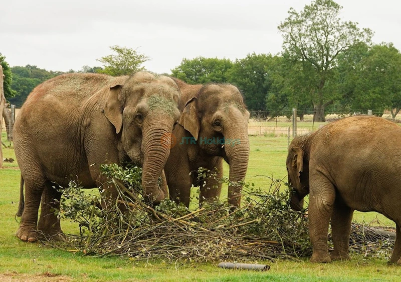 Whipsnade Zoo