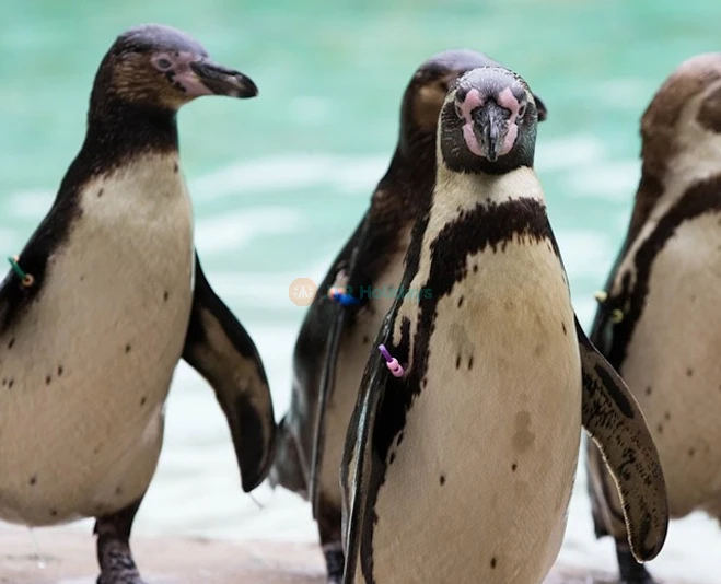 ウィップスネード動物園 - 画像 2 の 5