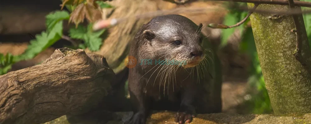 Whipsnade Zoo - Image 3 of 5