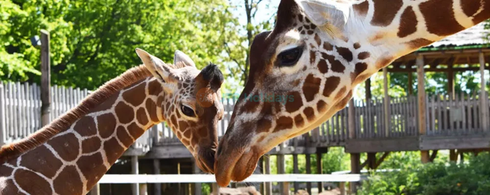 ウィップスネード動物園 - 画像 4 の 5