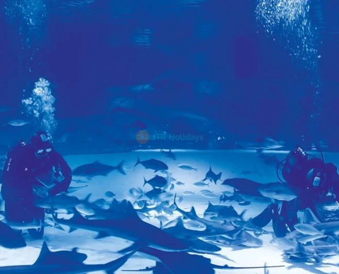 Museo de Cera Face 2 Face Antalya - Imagen 5 de 5