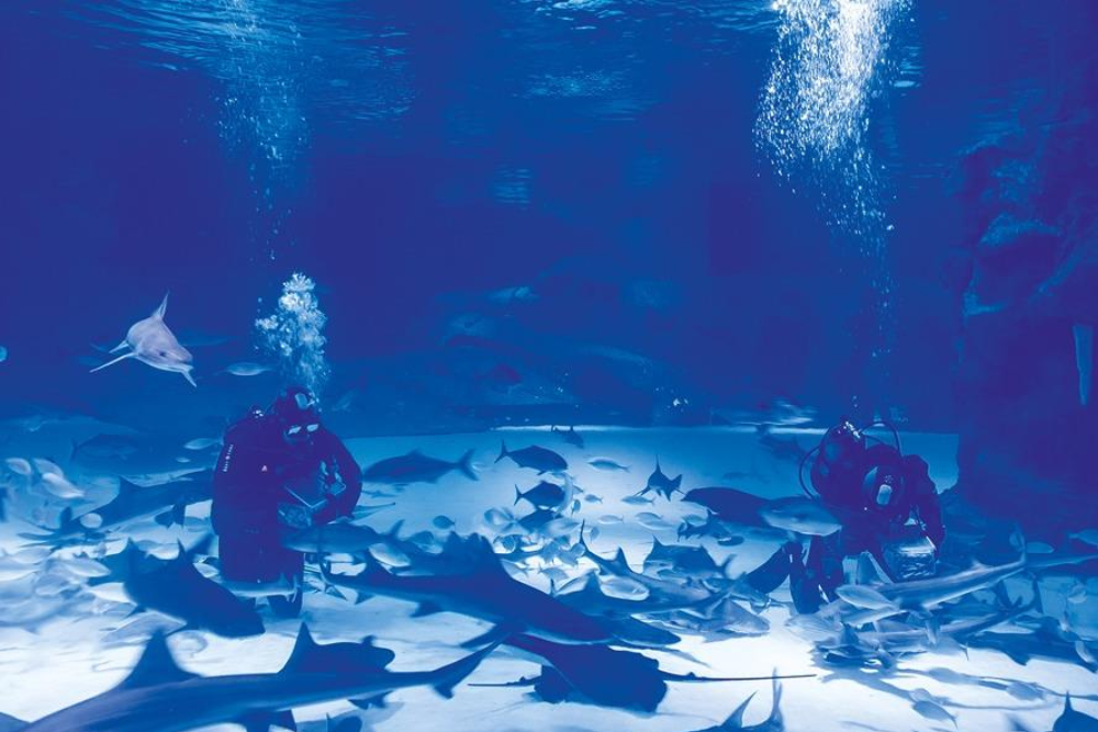 Face 2 Face Wax Museum Antalya - Image 5 of 5