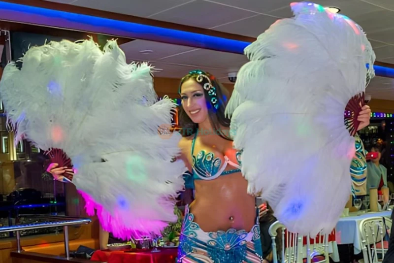 Bosphorus Dinner Cruise with Turkish Night Show | Istanbul Night Experience - JTR Holidays - Image 7 of 10