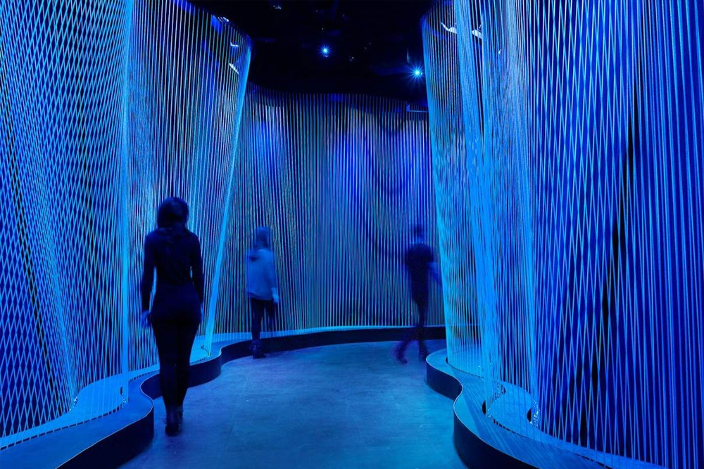 متحف الكتاب المقدس واشنطن - Image 4 of 6