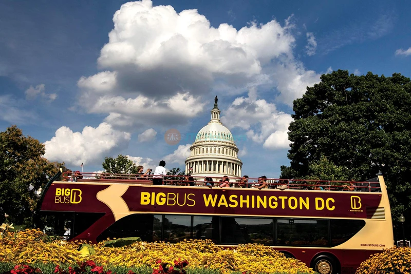 Big Bus Tours Washington, D.C. | Hop-On Hop-Off Sightseeing Tour - JTR Holidays - Image 7 of 9