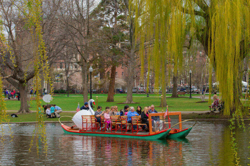 Boston Hop-On Hop-Off Trolley Trip - Image 2 of 5