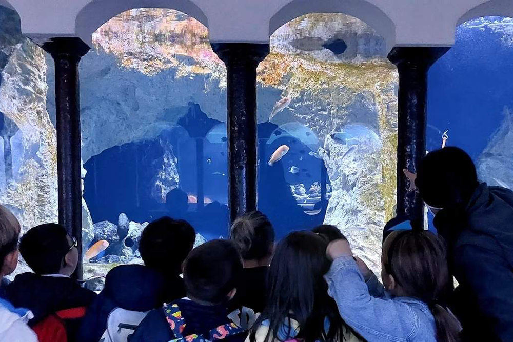 Aquarium of Naples & Darwin Dohrn Museum ticket in Naples - Image 1 of 7