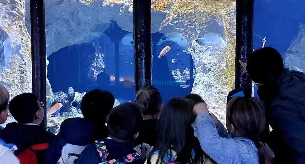 Aquarium of Naples & Darwin Dohrn Museum ticket in Naples - Book your Aquarium of Naples & Darwin Dohrn Museum ticket and explore one of Europe’s oldest aquariums. Discover Mediterranean marine life and learn about ocean conservation. Visit the museum dedicated to Charles Darwin and Anton Dohrn’s legacy. Experience the evolution of marine research in a historic setting. Plan your visit to this top Naples attraction today! Aquarium of Naples & Darwin Dohrn Museum ticket in Naples - Image 1 of 5
