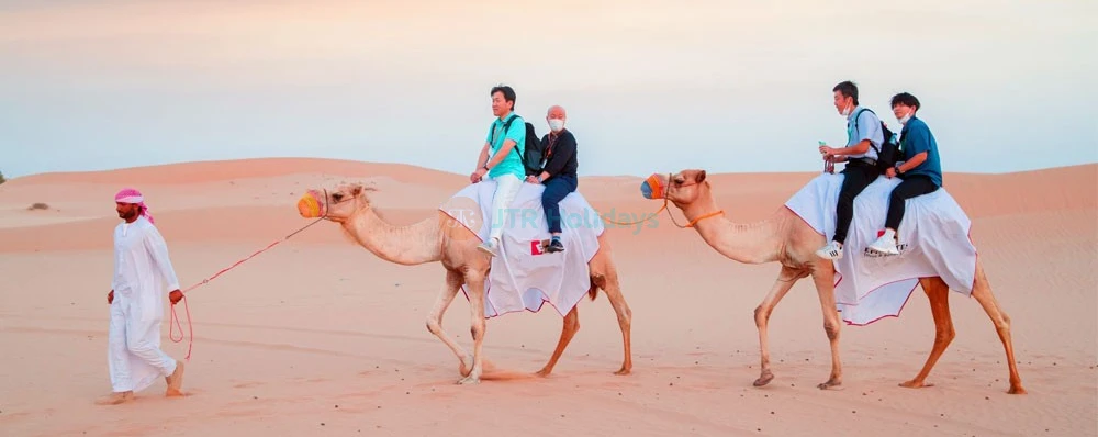 Desert Safari Abu Dhabi with BBQ Dinner - Image 3 of 5